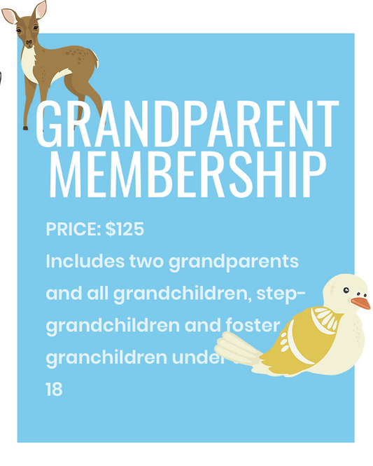 GRANDPARENT MEMBERSHIP